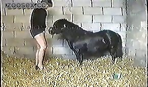 Cuzuda fazendo DP anal sem camisinha - pónei,sexo de cachorro